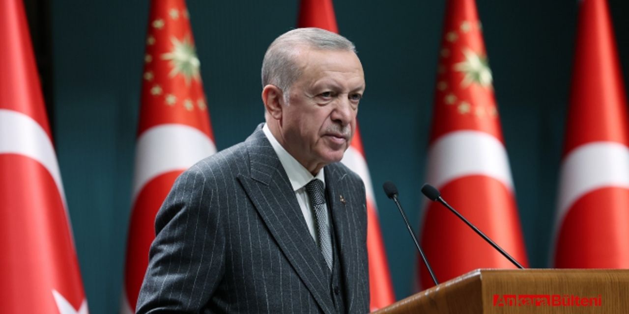 Türkiye'nin domates ihracatı artıyor! Erdoğan o isimle görüştü!