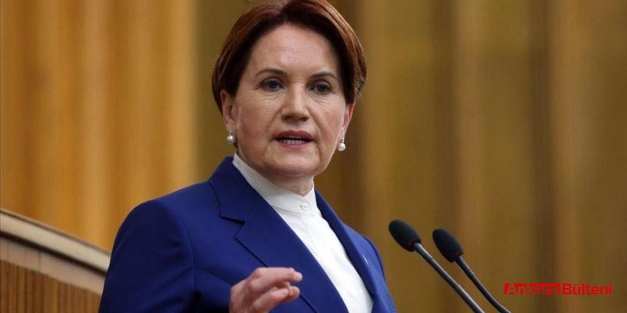 Ali Sunal'ın deprem tepkisine Meral Akşener'den destek!