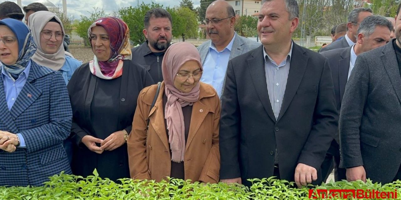 Çubuk Belediyesi'nden üreticilere 1 Milyon sebze fidesi dağıtıldı!