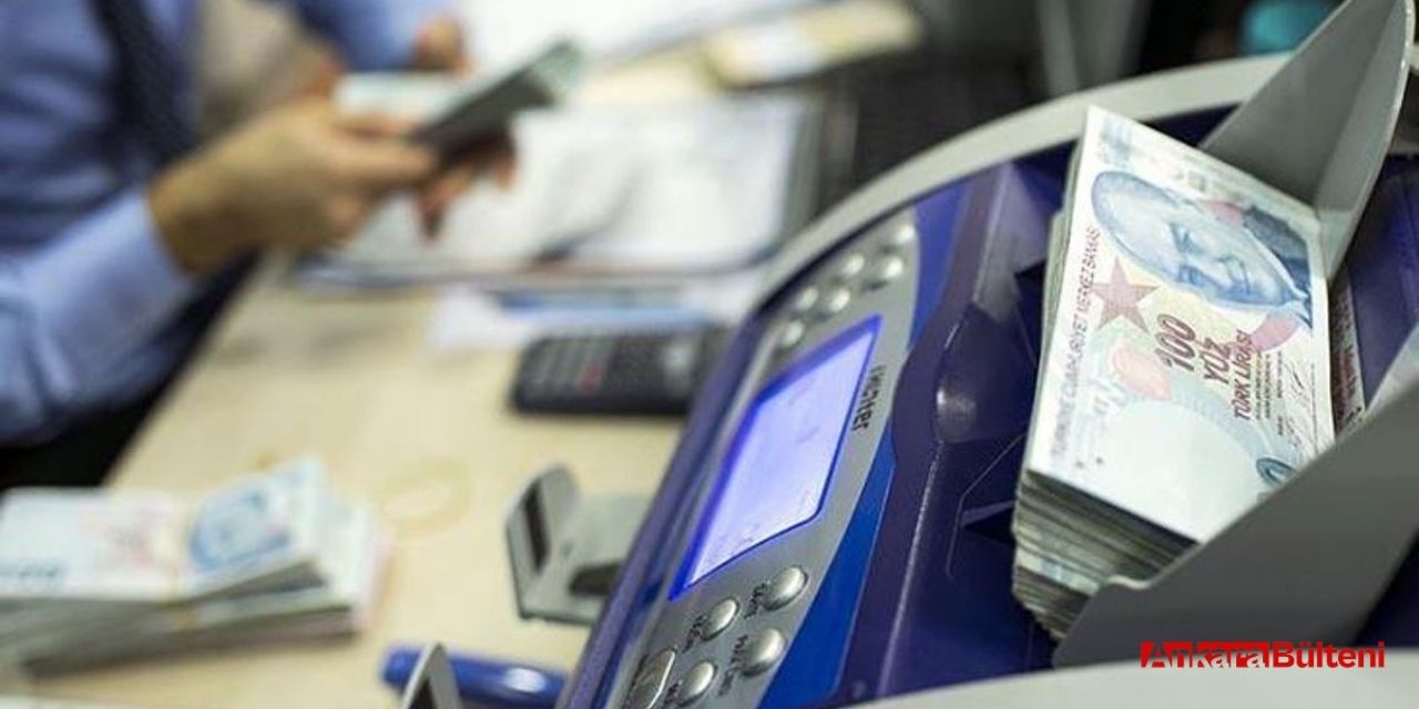 Ziraat Dinamik Banka nedir, neden açıldı, ne işe yarar?