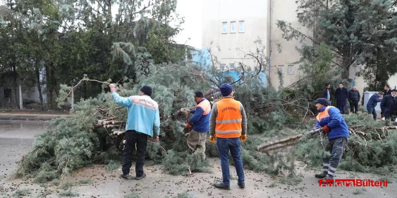Ağaç otomobilin üzerine devrildi