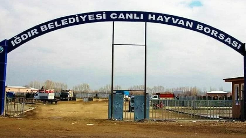 sap-hastaligindan-dolayi-igdir-hayvan-pazari-kapatildi-150decb.webp