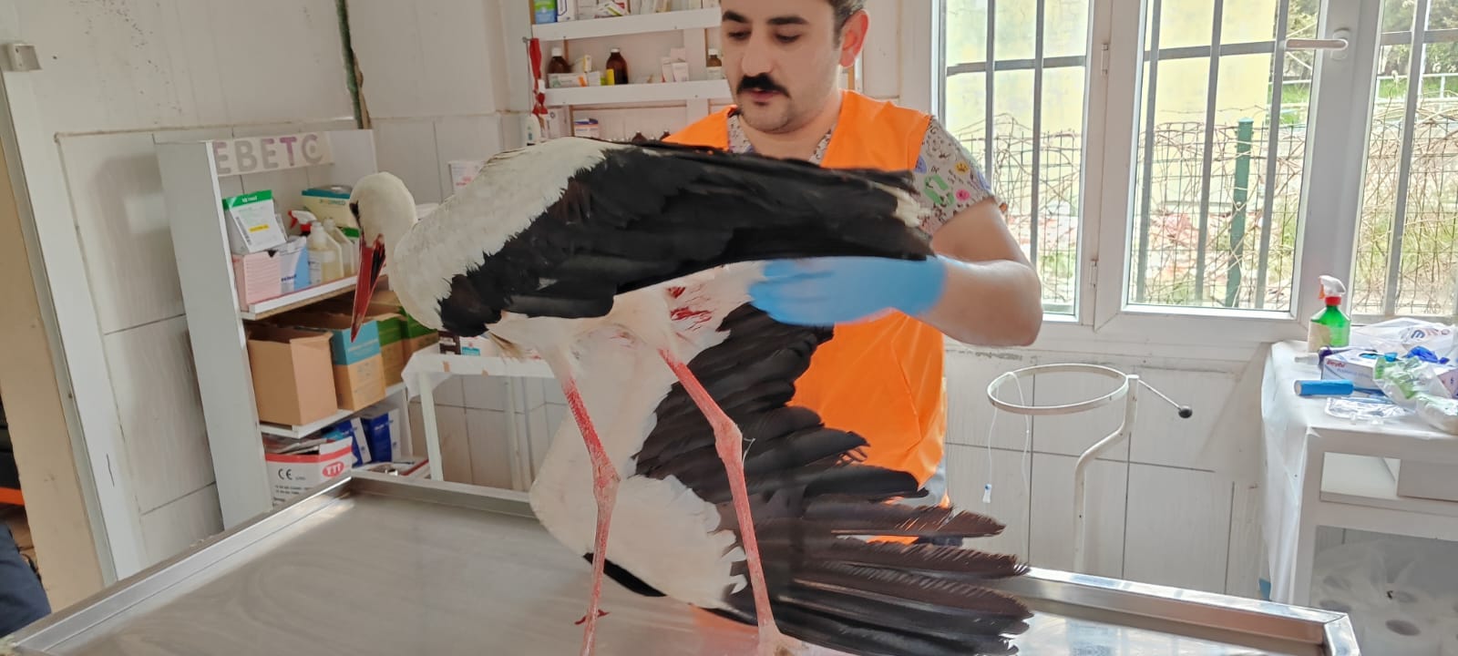 fsodcx4xgaaj46m.jpg